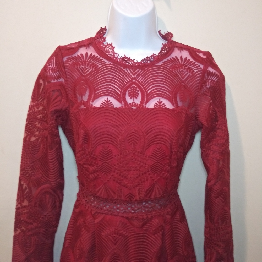 Xenia Boutique Sexy Burgundy Embroidered Net Ruffled Hem Mini Dress - Picture 3 of 16